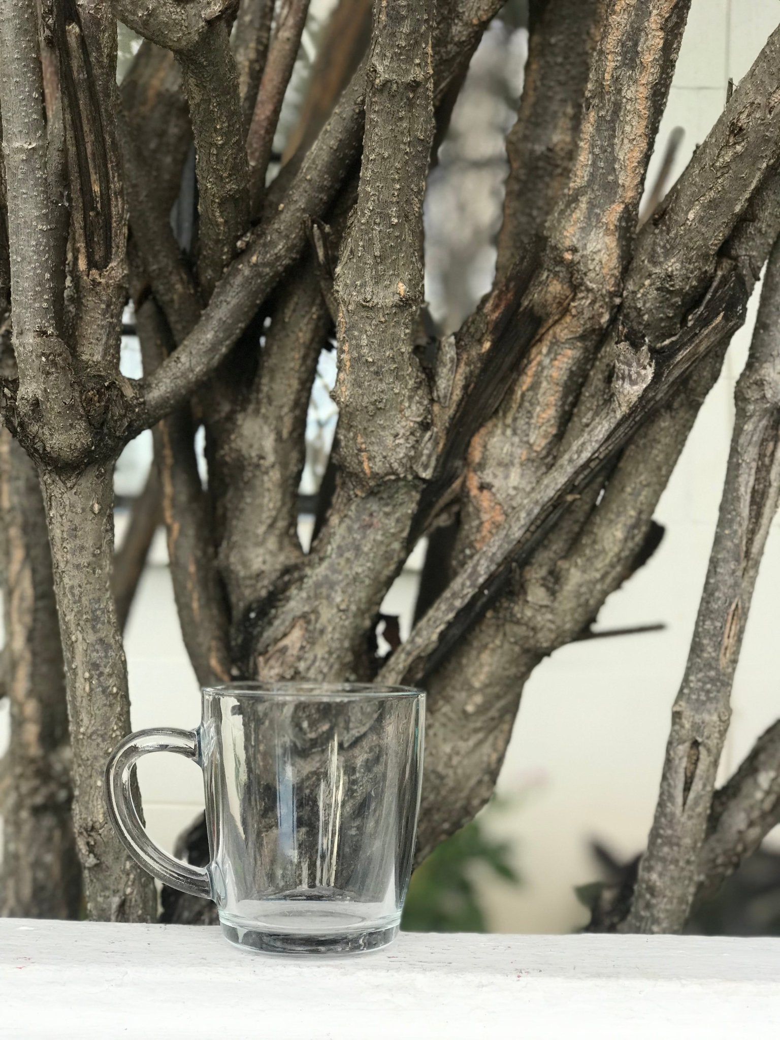 Custom Clear Mugs - SHCreations