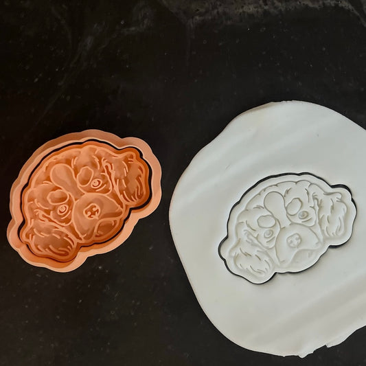 DONE TO ORDER: Charles Spaniel Cookie Cutter + Fondant Stamp Set - SHCreations