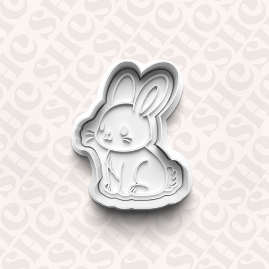 DONE TO ORDER: Rabbit Cookie Cutter + Fondant Stamp Set - SHCreations