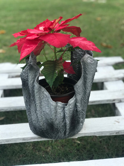 Silver Decorative Pot with Red Poinsettia - SHCreations