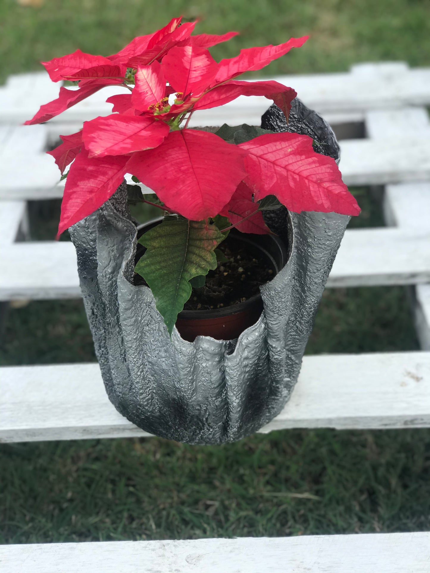 Silver Decorative Pot with Red Poinsettia - SHCreations