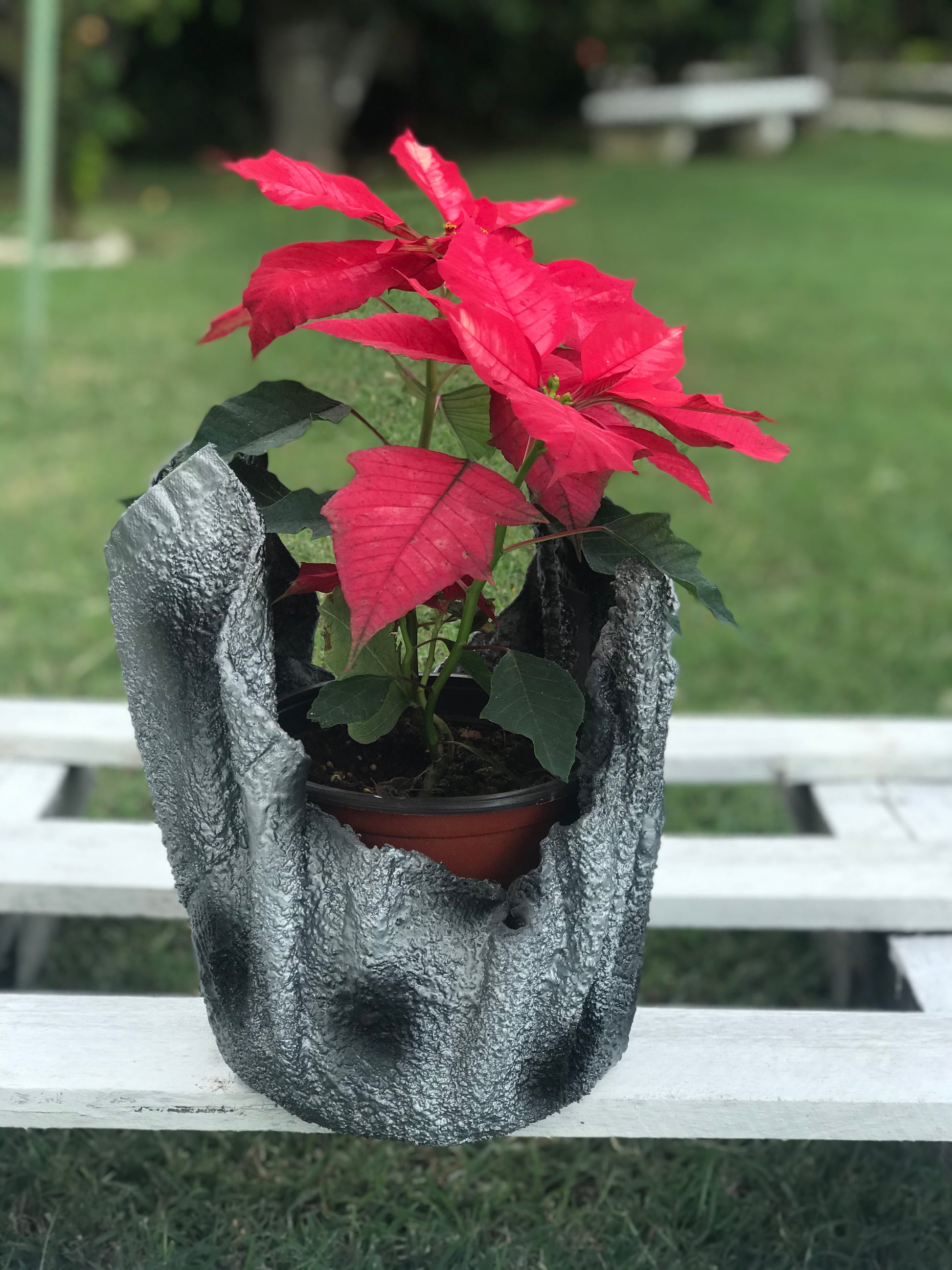 Silver Decorative Pot with Red Poinsettia - SHCreations