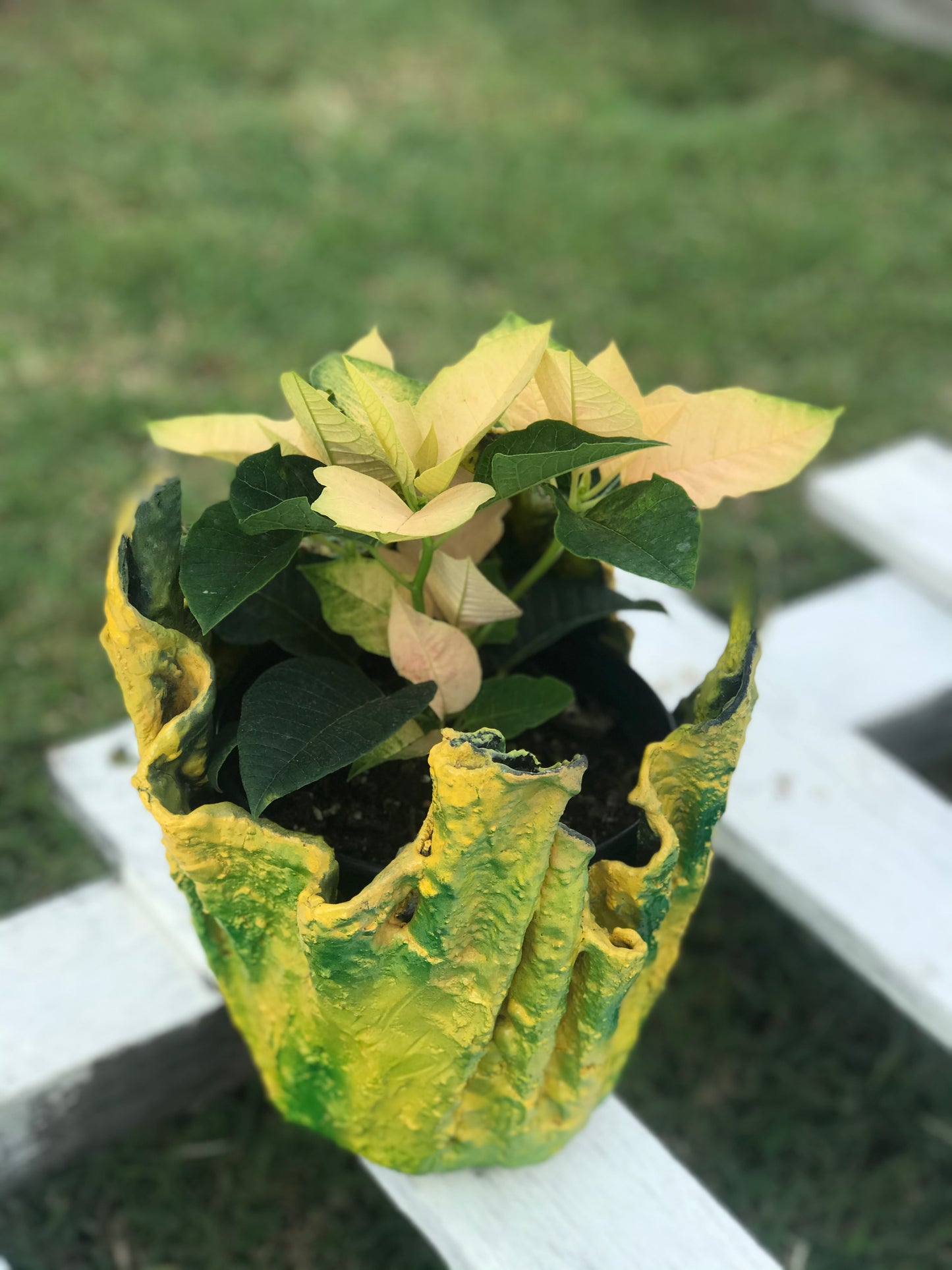 Yellow/Green Decorative Pot with Yellow Poinsettia - SHCreations